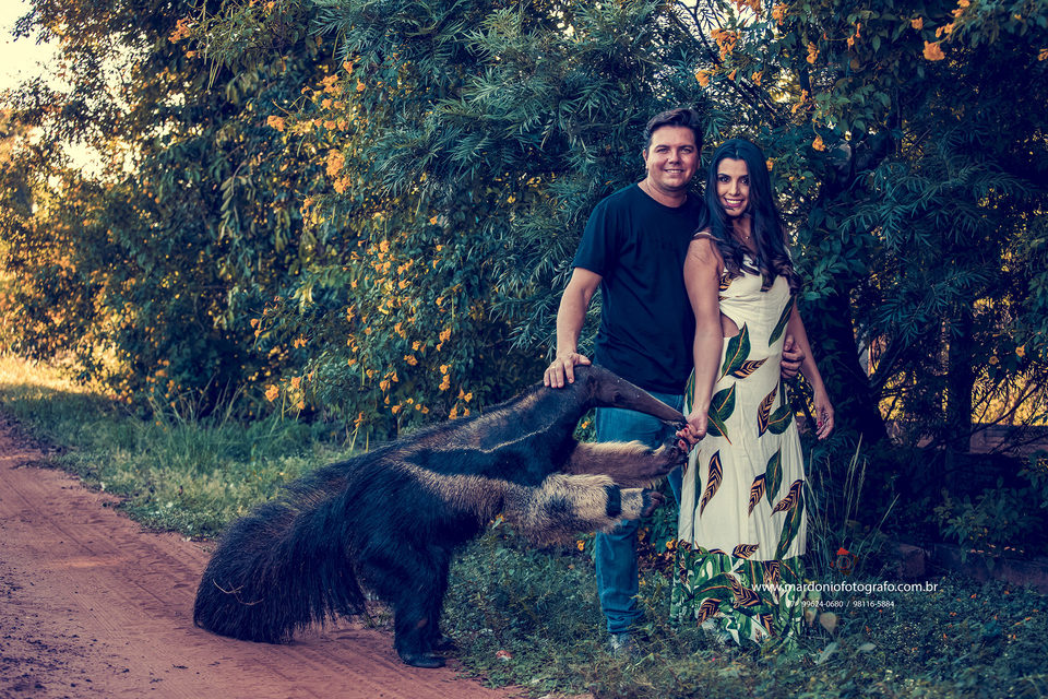 Pré Casamento Renata e Carlos